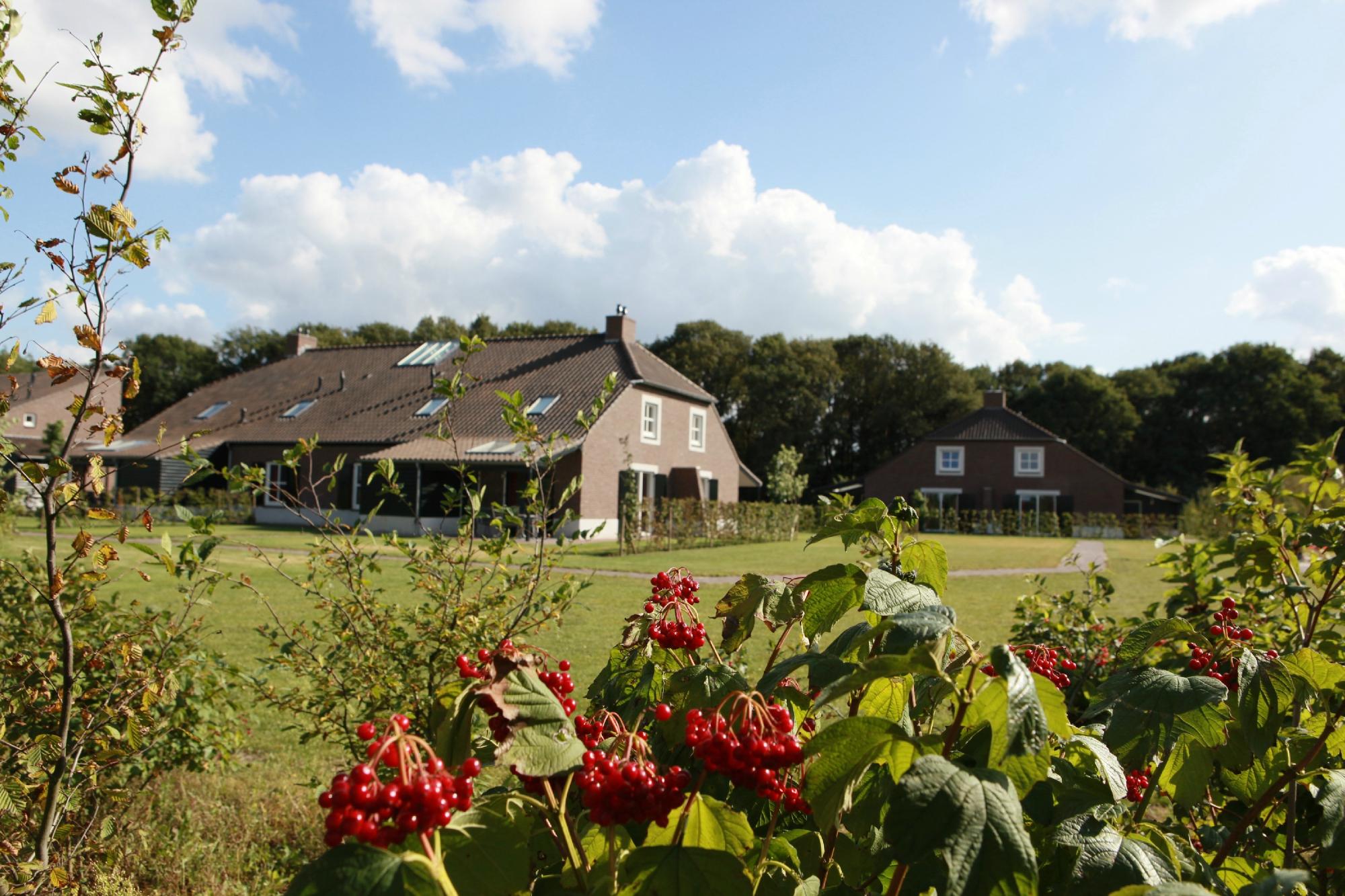 Bosrijk De Kuluut-官方