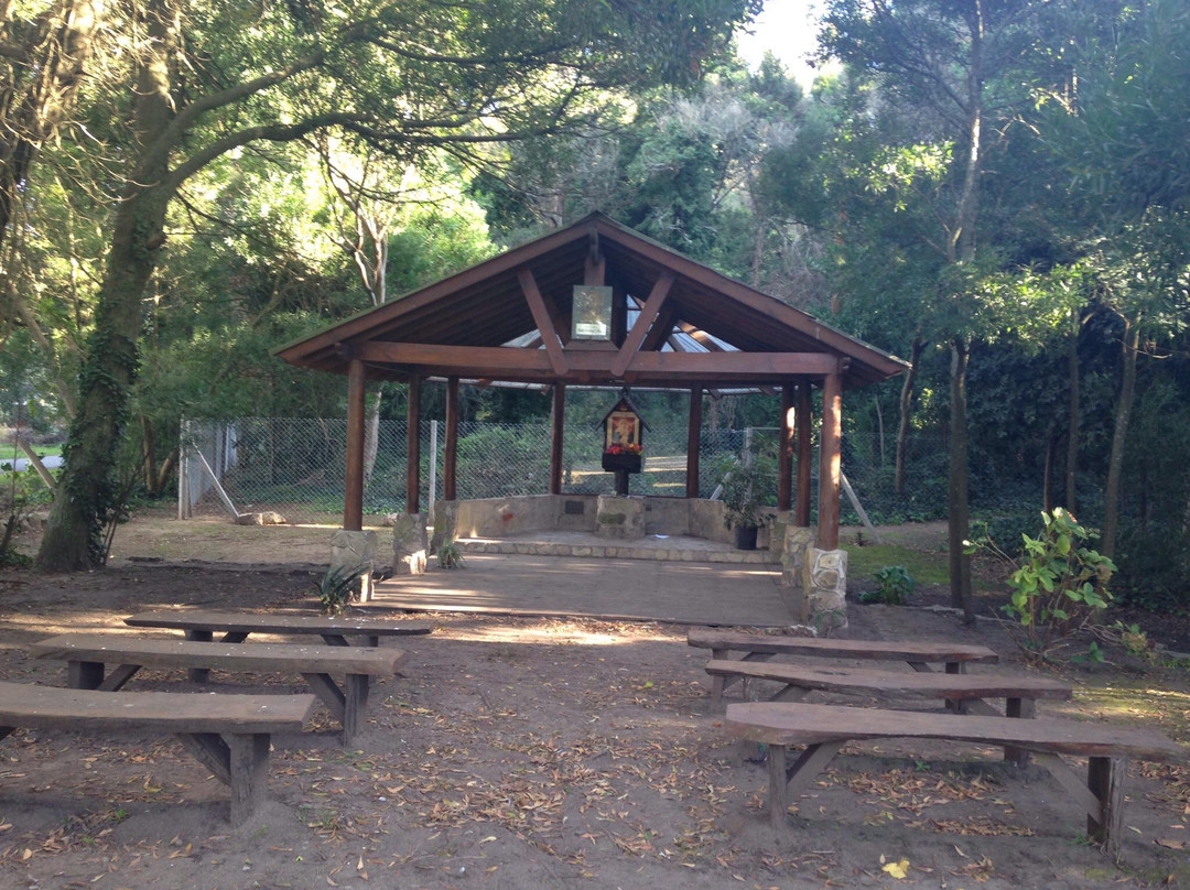 Bosque Peralta Ramos-马德普拉塔必去景点