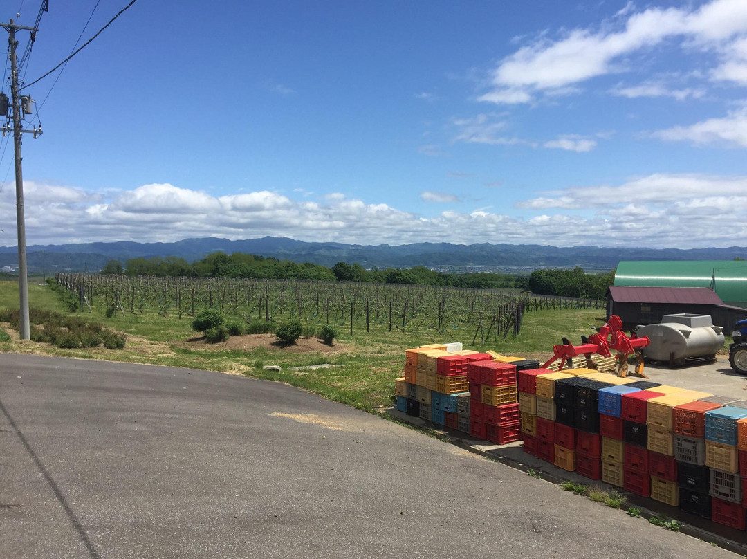 Tsurunuma Winery-浦臼町必去景点