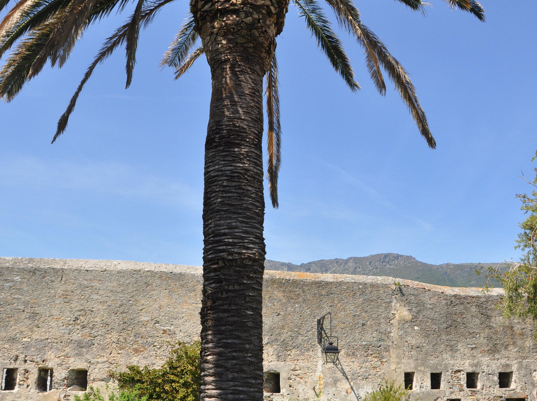 Musée De Bastia-Bastia必去景点