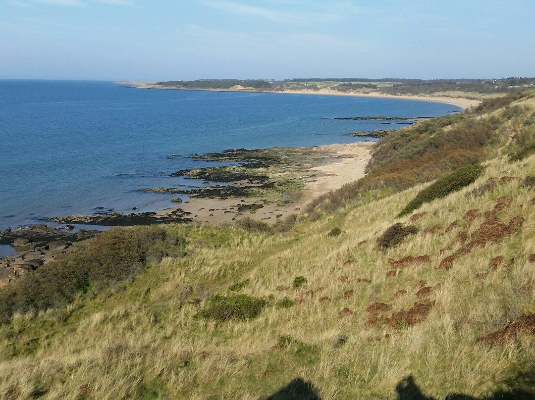 null-Gullane