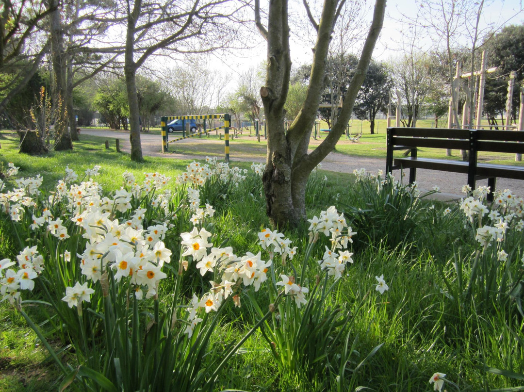 Lodmoor Country Park-韦茅斯必去景点