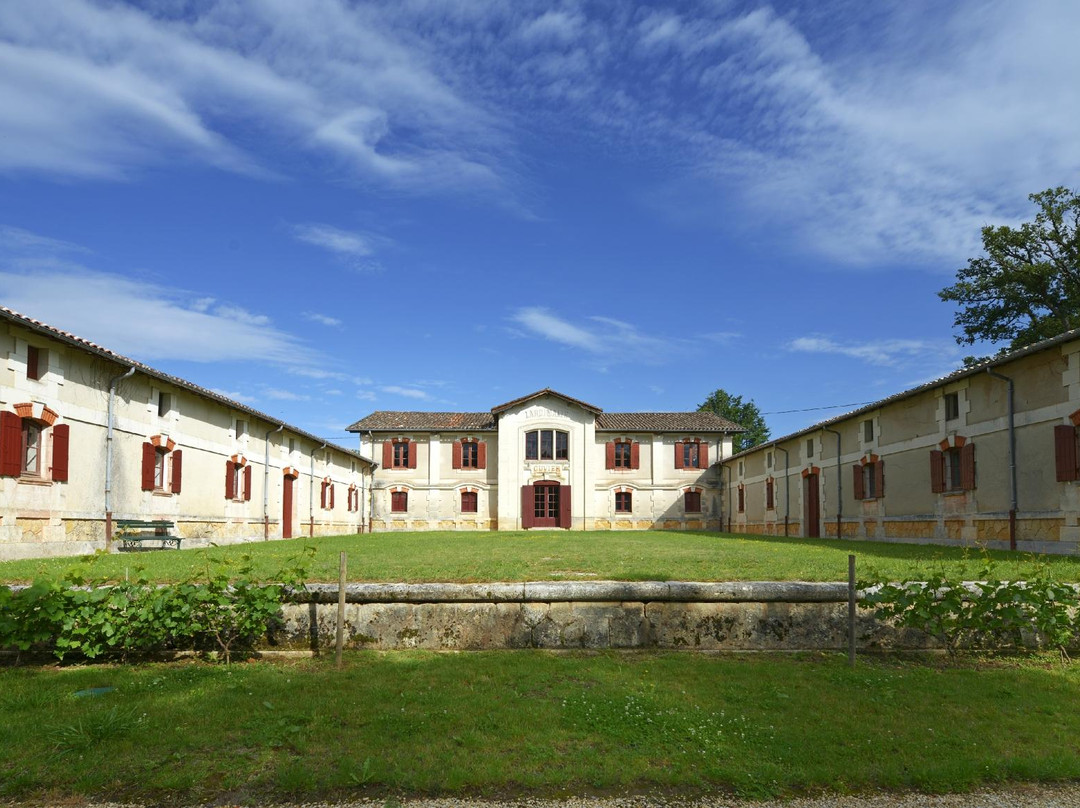 Musée du Chai de Lardimalie景点图片
