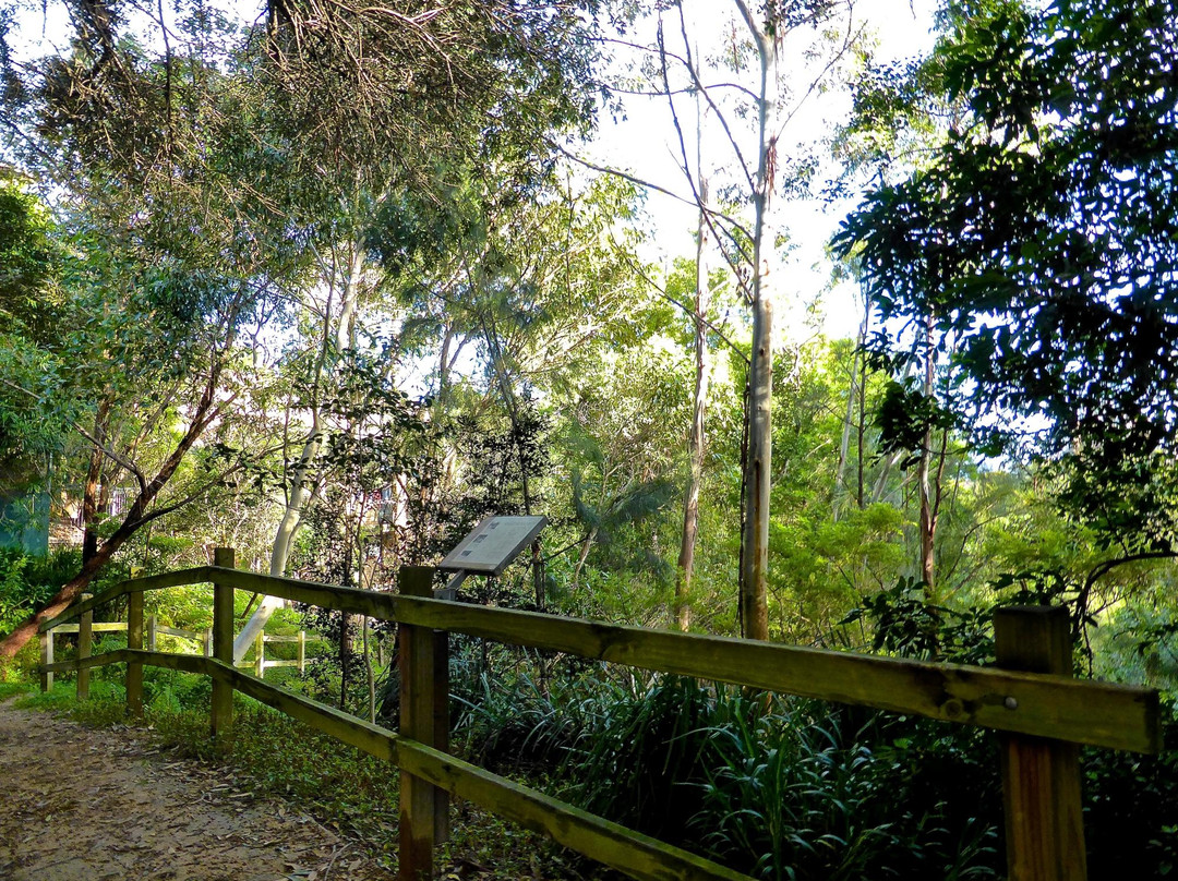 Fred Hollows Reserve-兰德威克必去景点