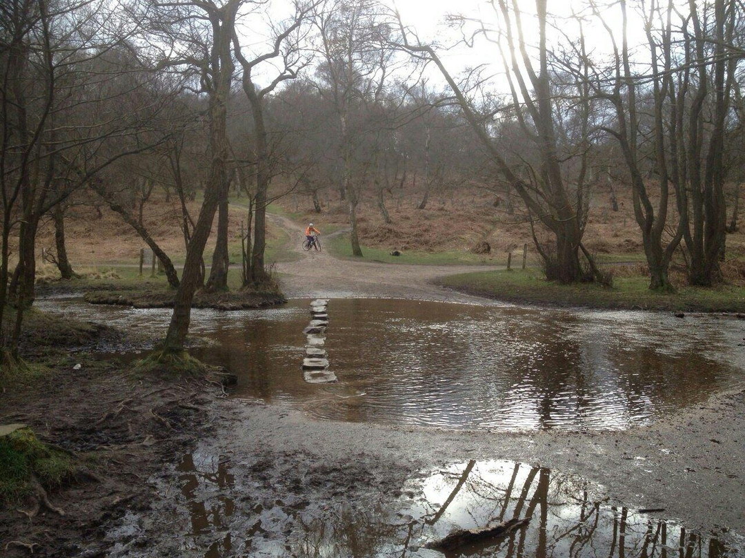 Cannock Chase National Landscape景点图片