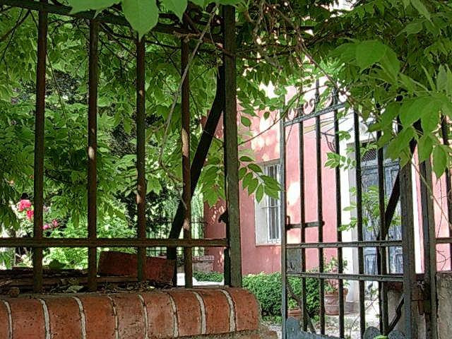 Le Petit Fidèle主图