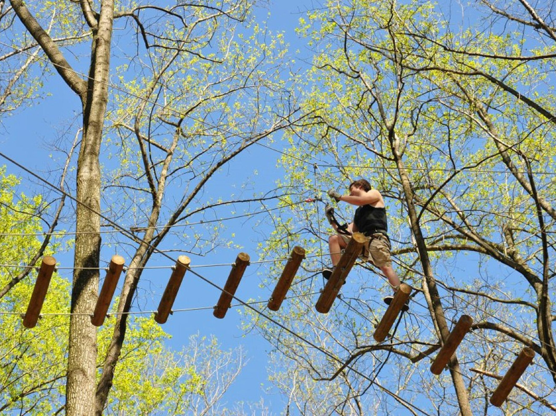 TreeRunner West Bloomfield Adventure Park-西布鲁姆菲尔德必去景点
