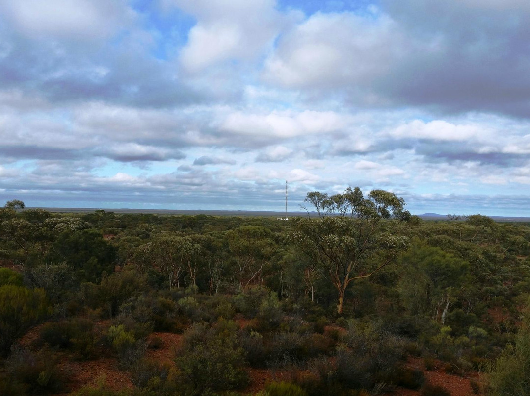 Karlkurla Bushland Park-卡尔古利必去景点