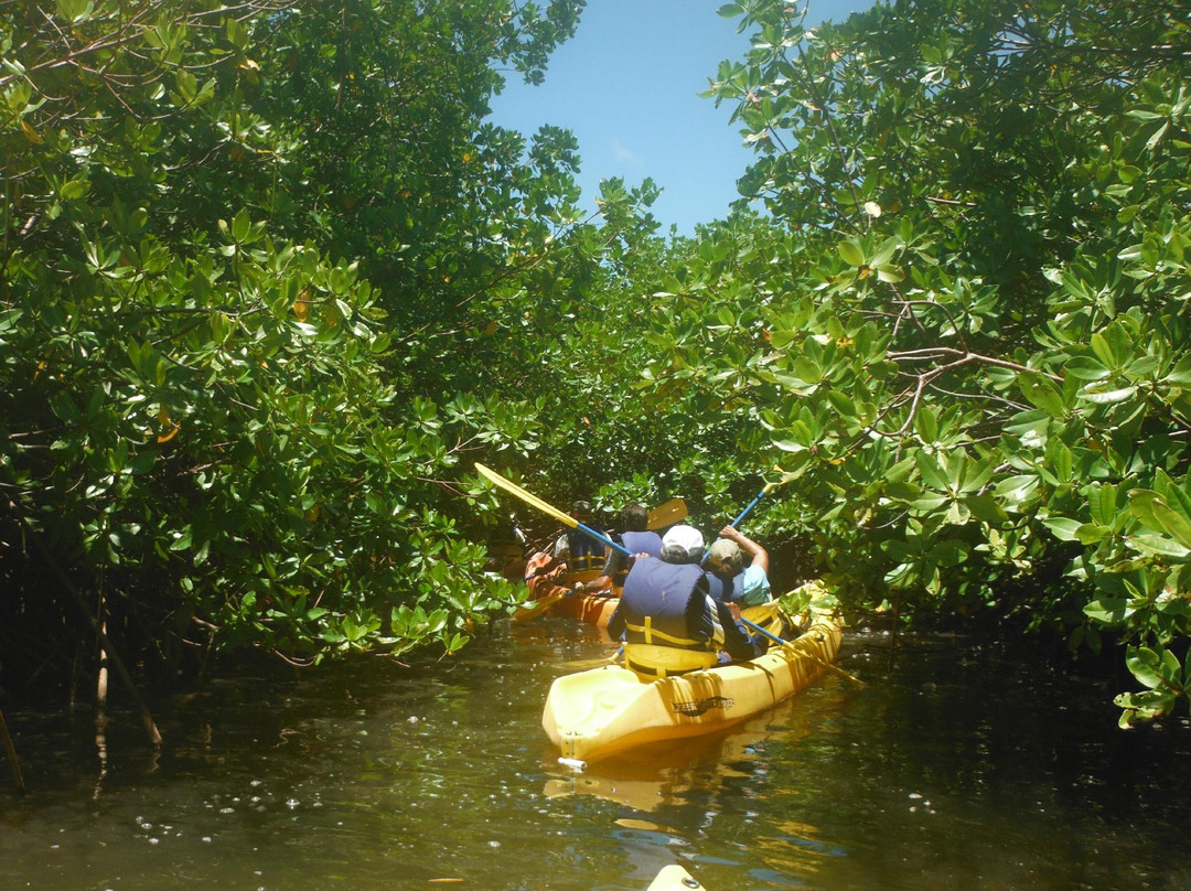 Island Kayaking Adventure-Ceiba必去景点
