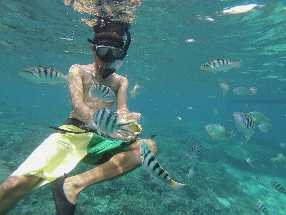 YOS Dive Bali-南湾必去景点