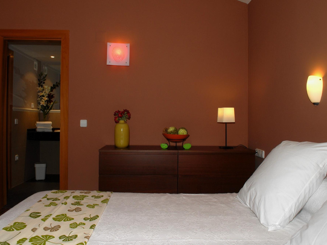 Puente l'Albarda主图