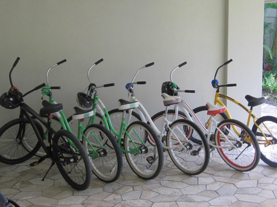 North Shore Bike Rentals-哈雷瓦必去景点