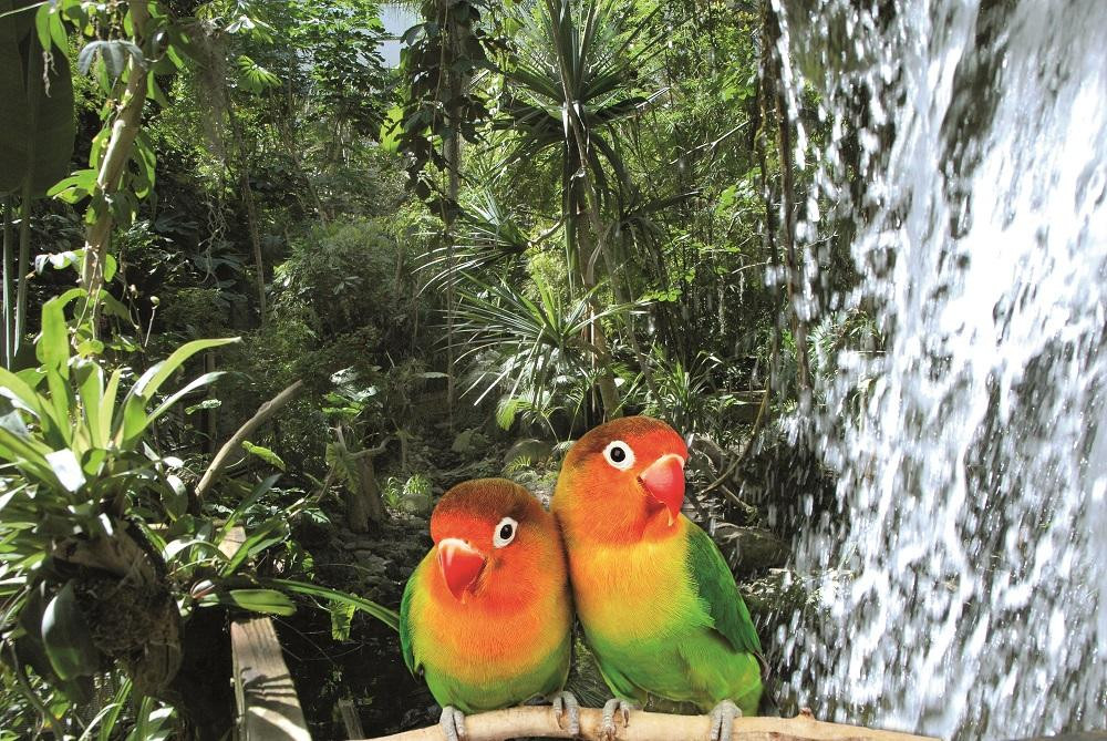 Biosphäre Potsdam-波茨坦必去景点