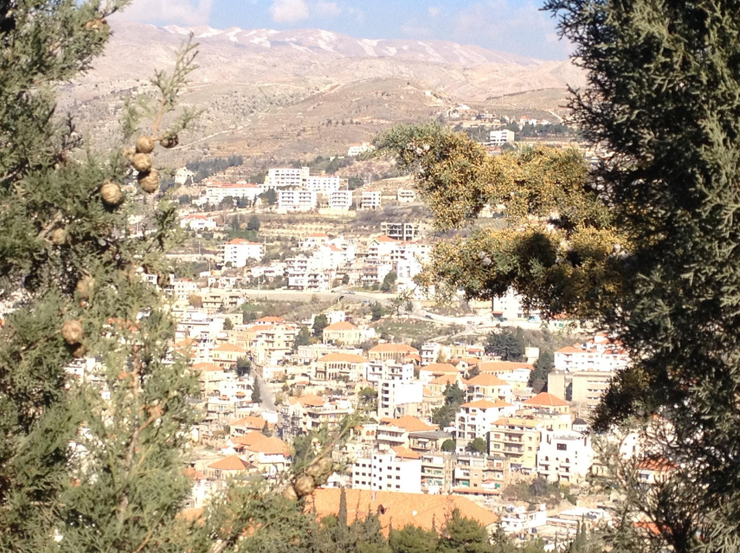 Our Lady of Zahle and Bekaa景点图片