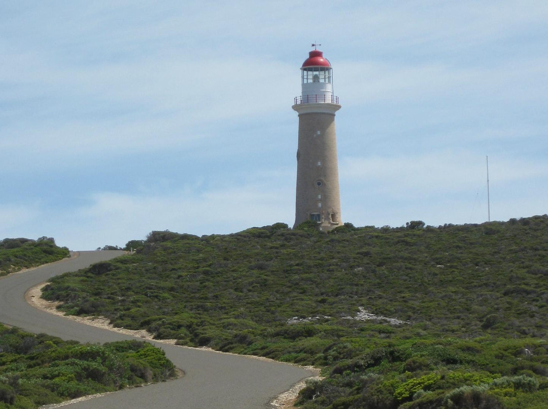 Australian Wildlife Walkabouts Eco Tours景点图片