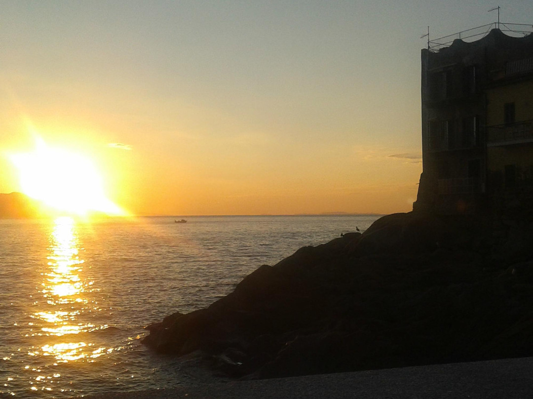 International Diving-Isola del Giglio必去景点