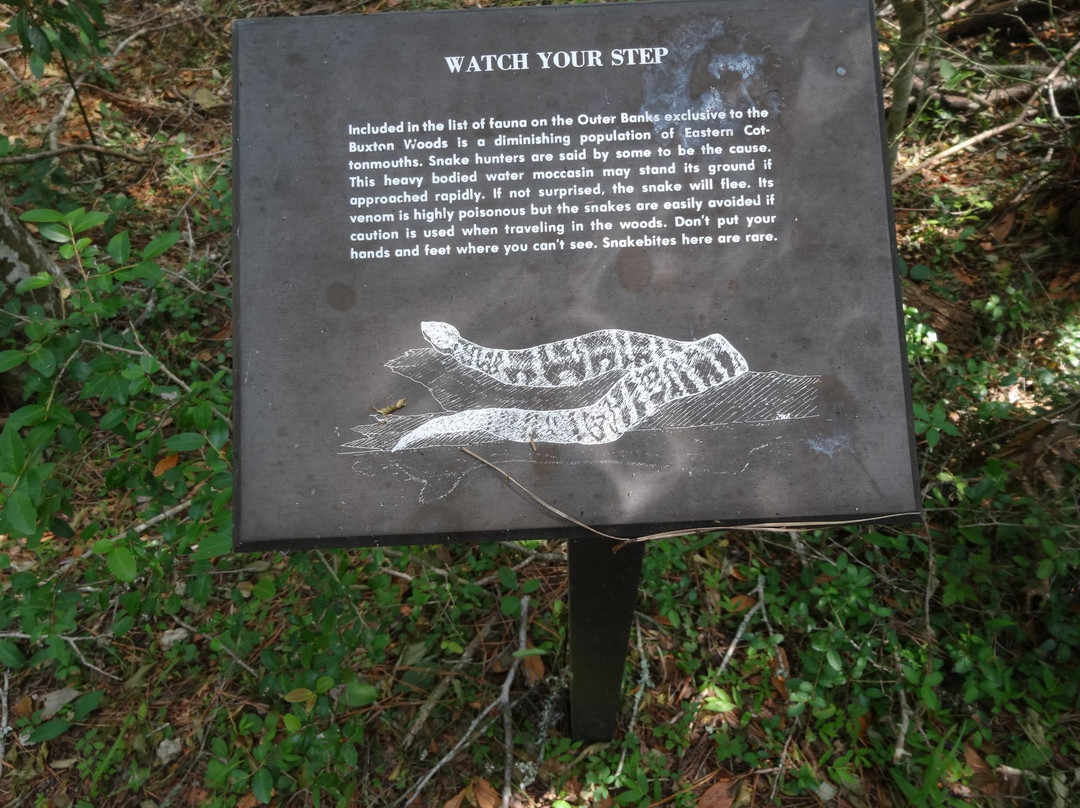 Buxton Woods Nature Trail景点图片