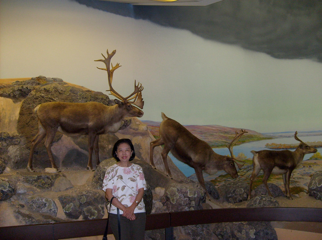 Manitoba Museum-温尼伯必去景点