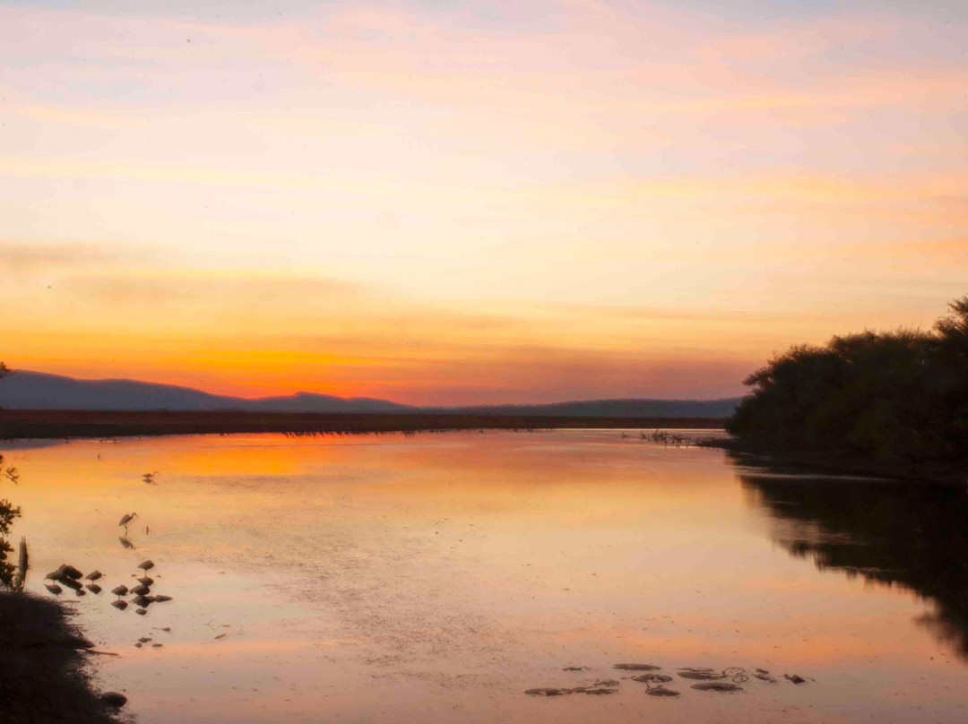 Parry Lagoons Nature Reserve-库努纳拉必去景点