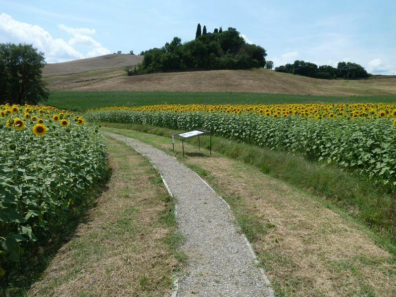 Parco Archeologico Pava景点图片