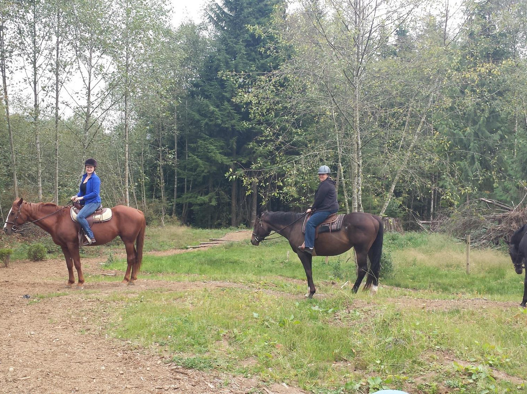 Hylee Training-乔治王子城必去景点