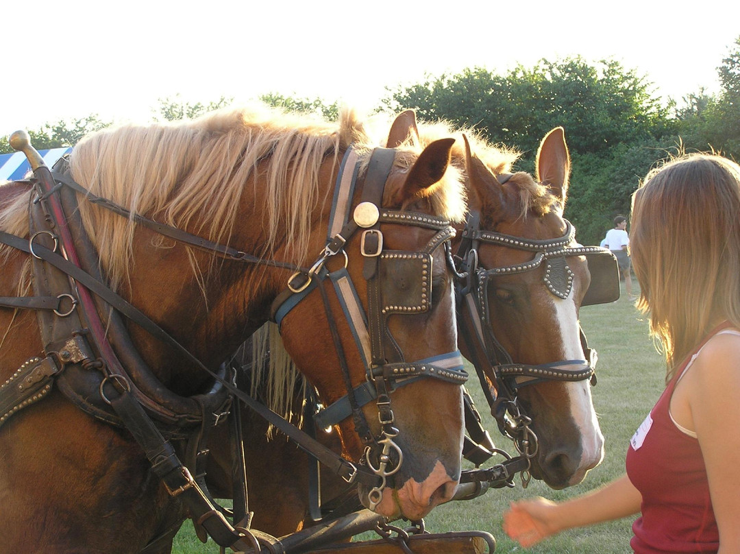 Treinen Farm Corn Maze and Pumpkin Patch-Lodi必去景点