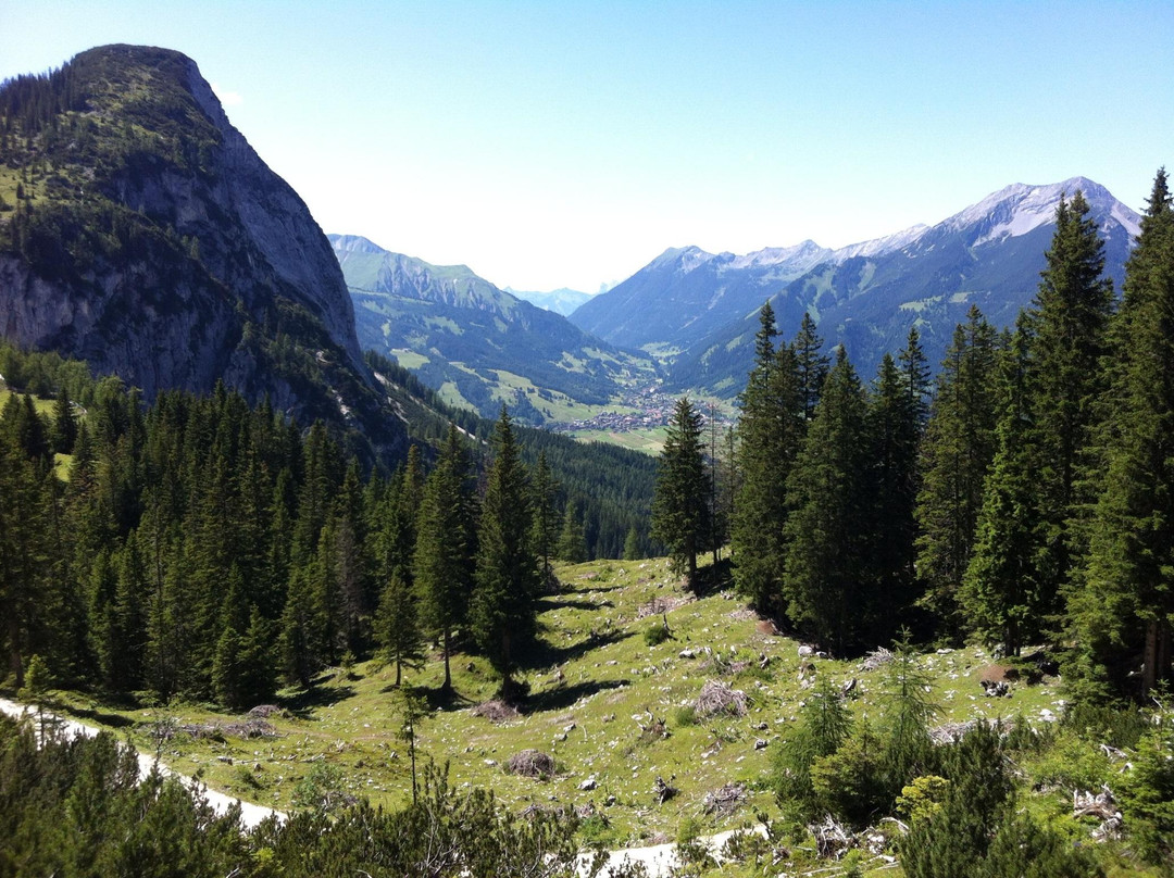 Ehrwalder Almbahn-埃尔森林市必去景点