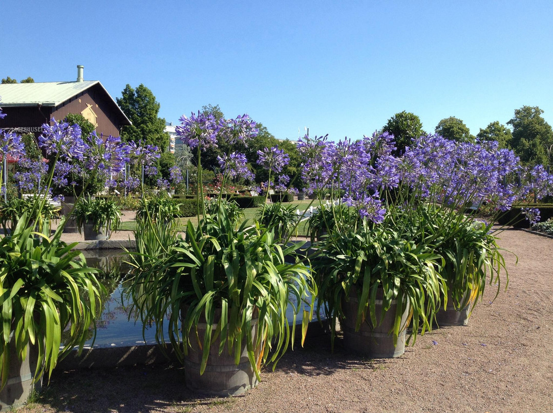 The Garden Society (Tradgardsforeningen)景点图片