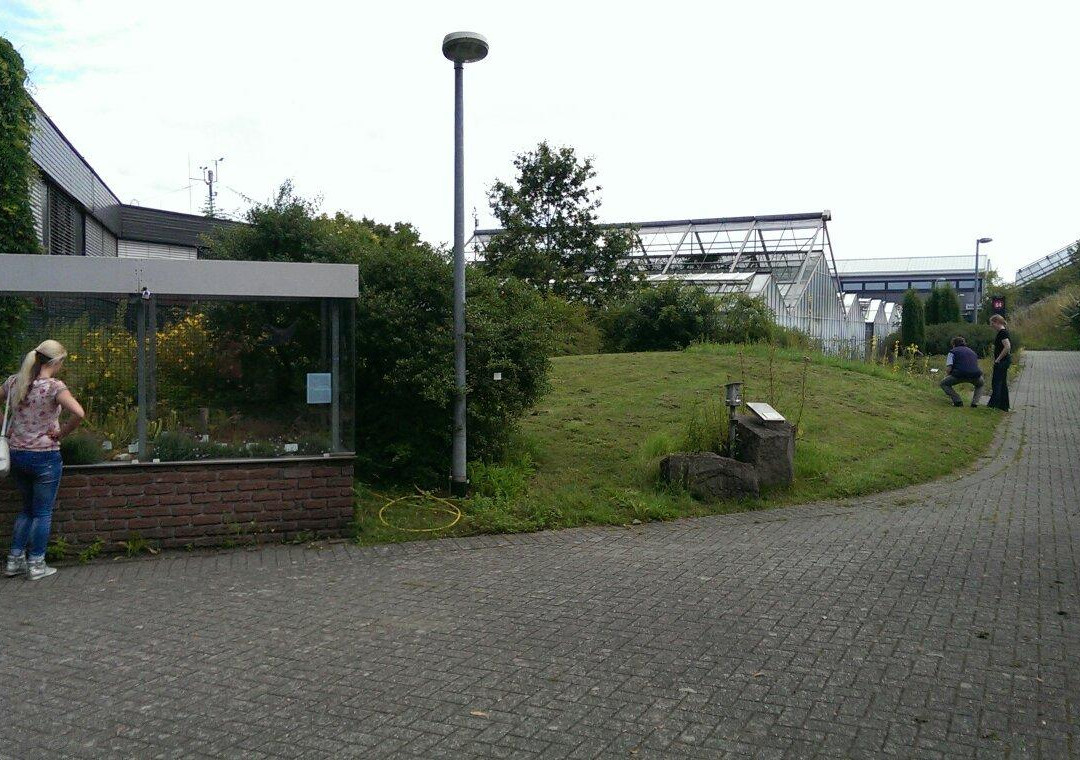 Botanischer Garten der Universität Osnabrück-奥斯纳布吕克必去景点