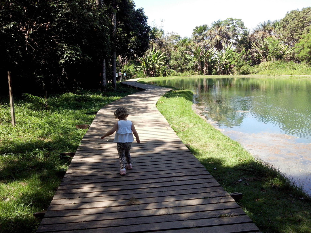Parque Botanico-Ariquemes必去景点