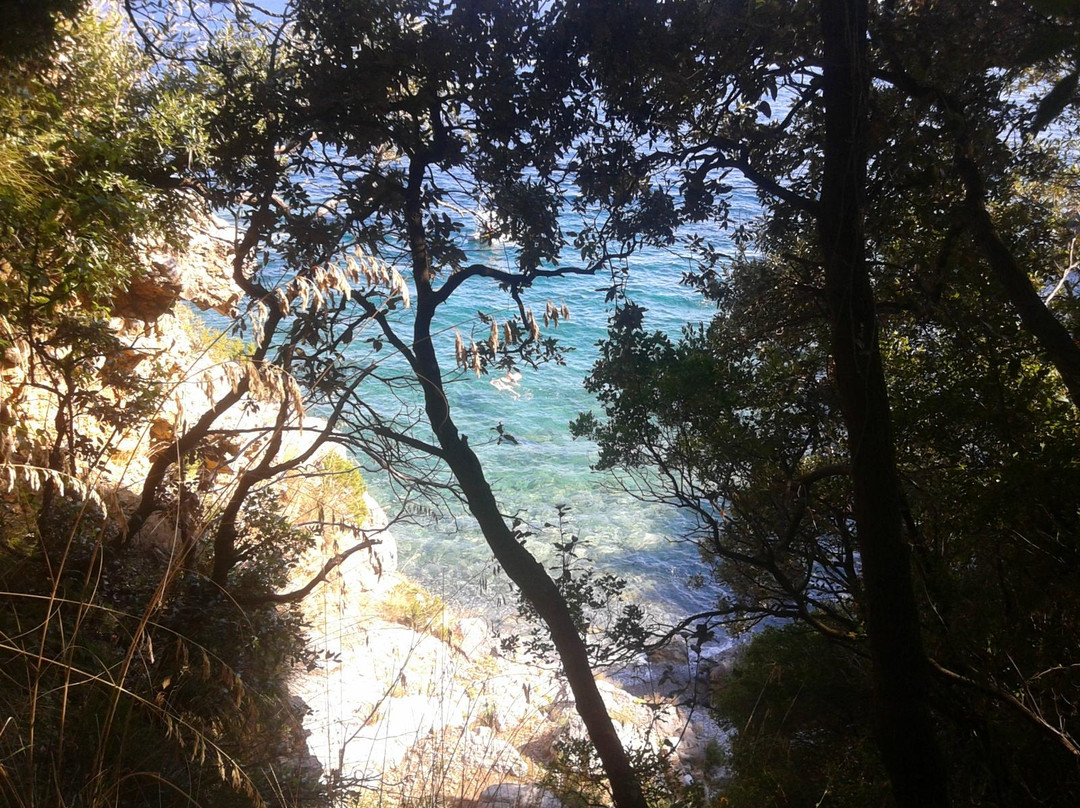 Grotta dell'Acqua景点图片