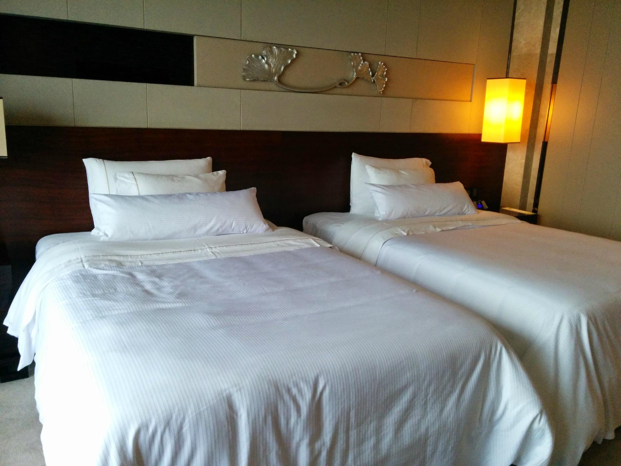 广州广交会威斯汀酒店-客卧