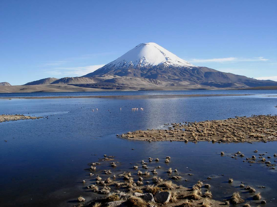 Lago Chungara景点图片