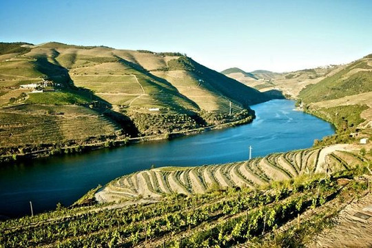 Meet Me At Porto-波尔图必去景点