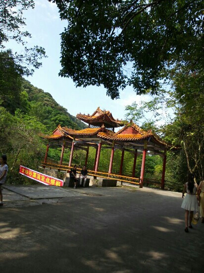 桂山原始森林景点图片