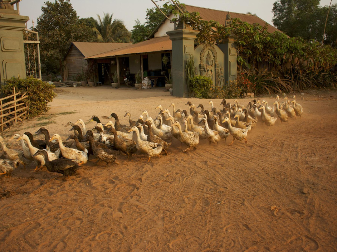Peace Of Angkor Tour-暹粒必去景点