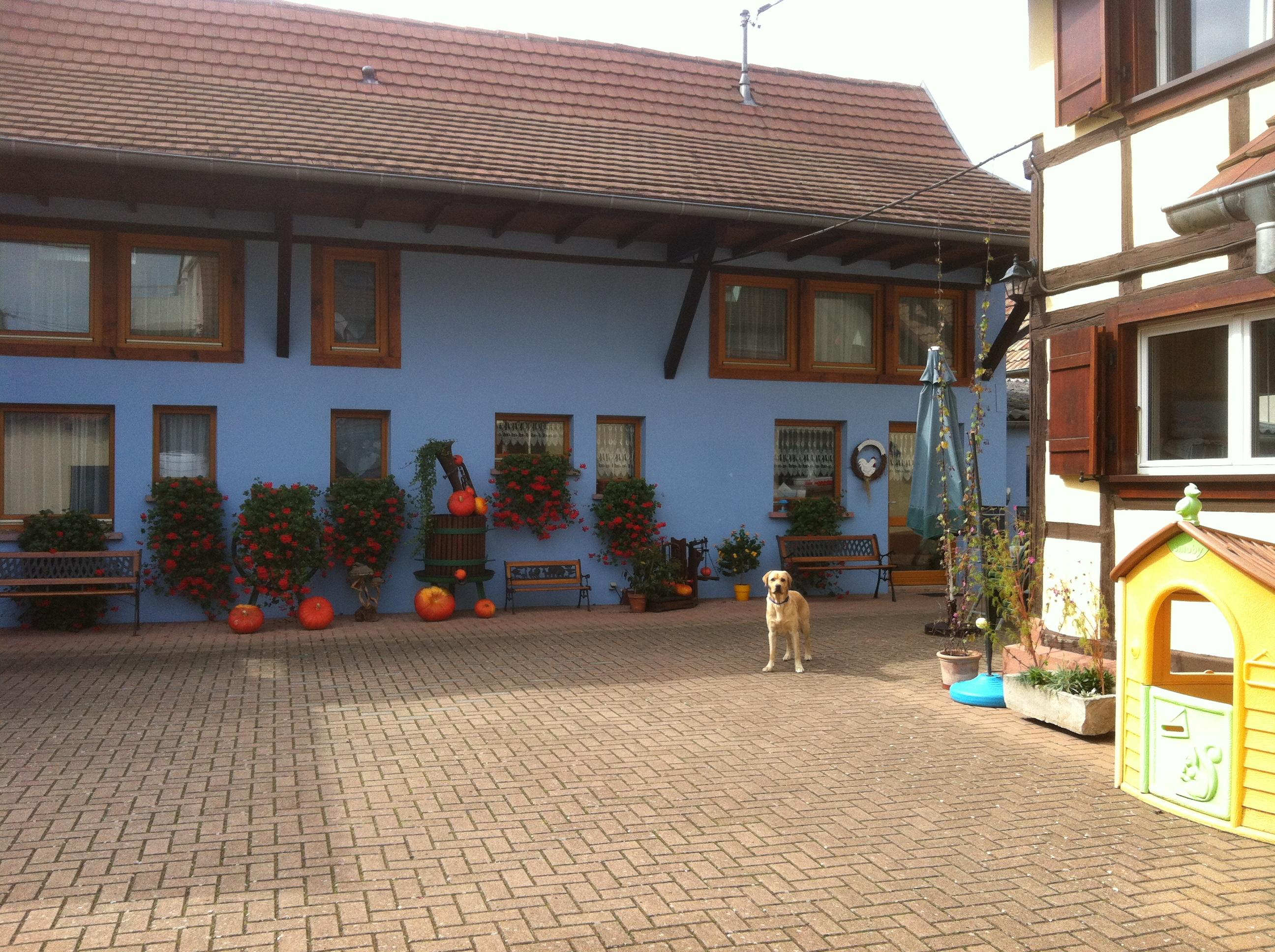 Melodies d'Alsace-官方