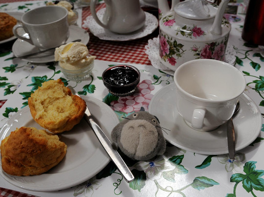 Allendale Gardens-Edith Creek必去景点