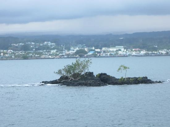 椰子岛-希洛必去景点