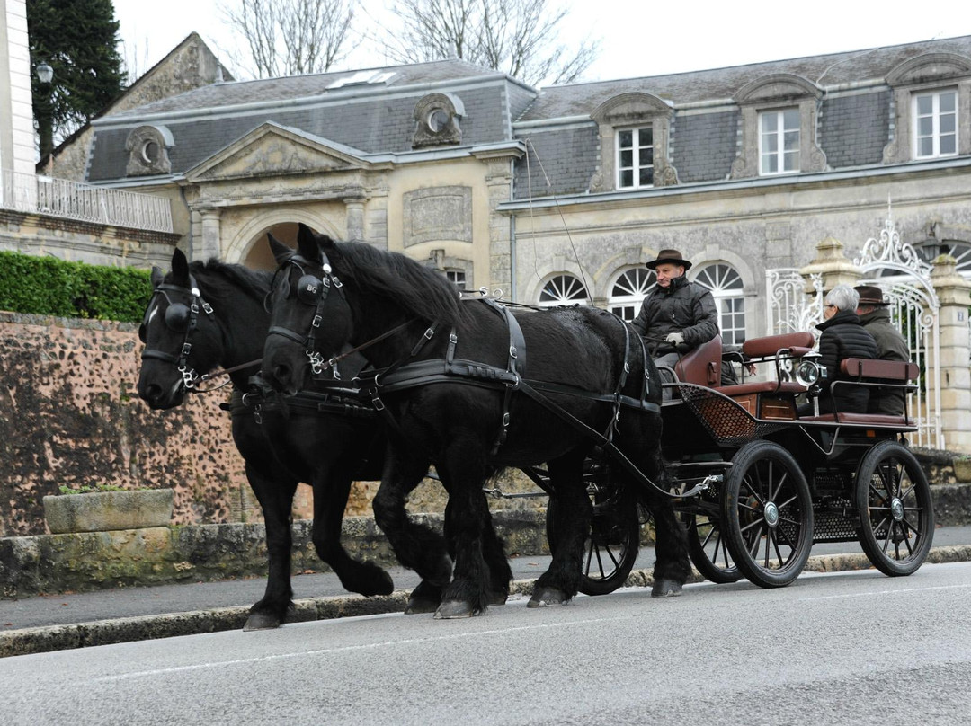 Association Bellême Attelages-Saint-Martin-du-Vieux-Belleme必去景点