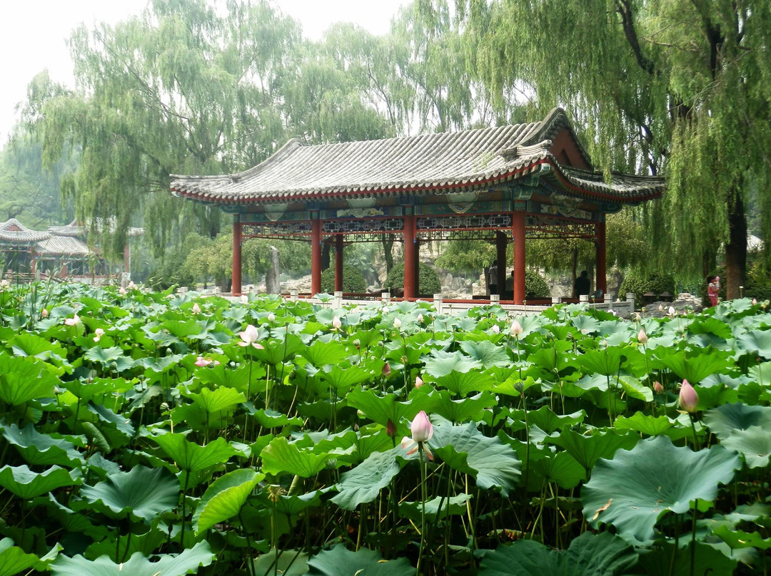 日坛公园-北京市必去景点