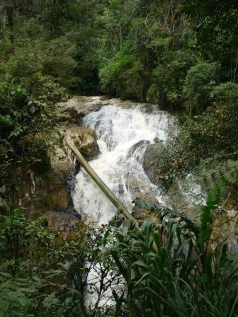 Cameron Highlands Trail No. 9-丹那拉塔必去景点