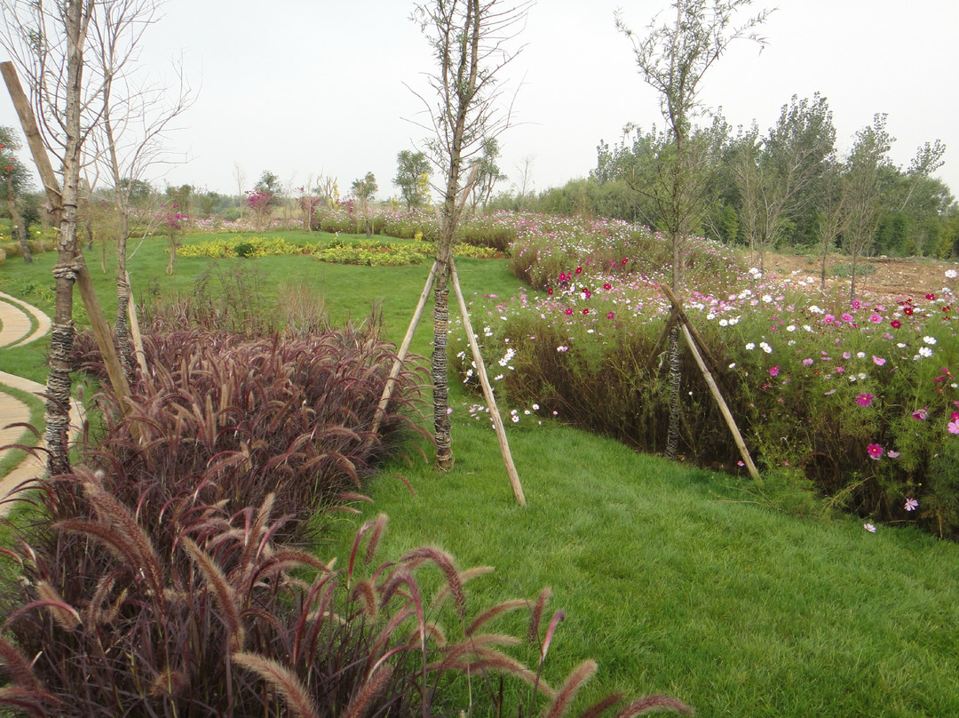 海东湿地公园-昆明市必去景点