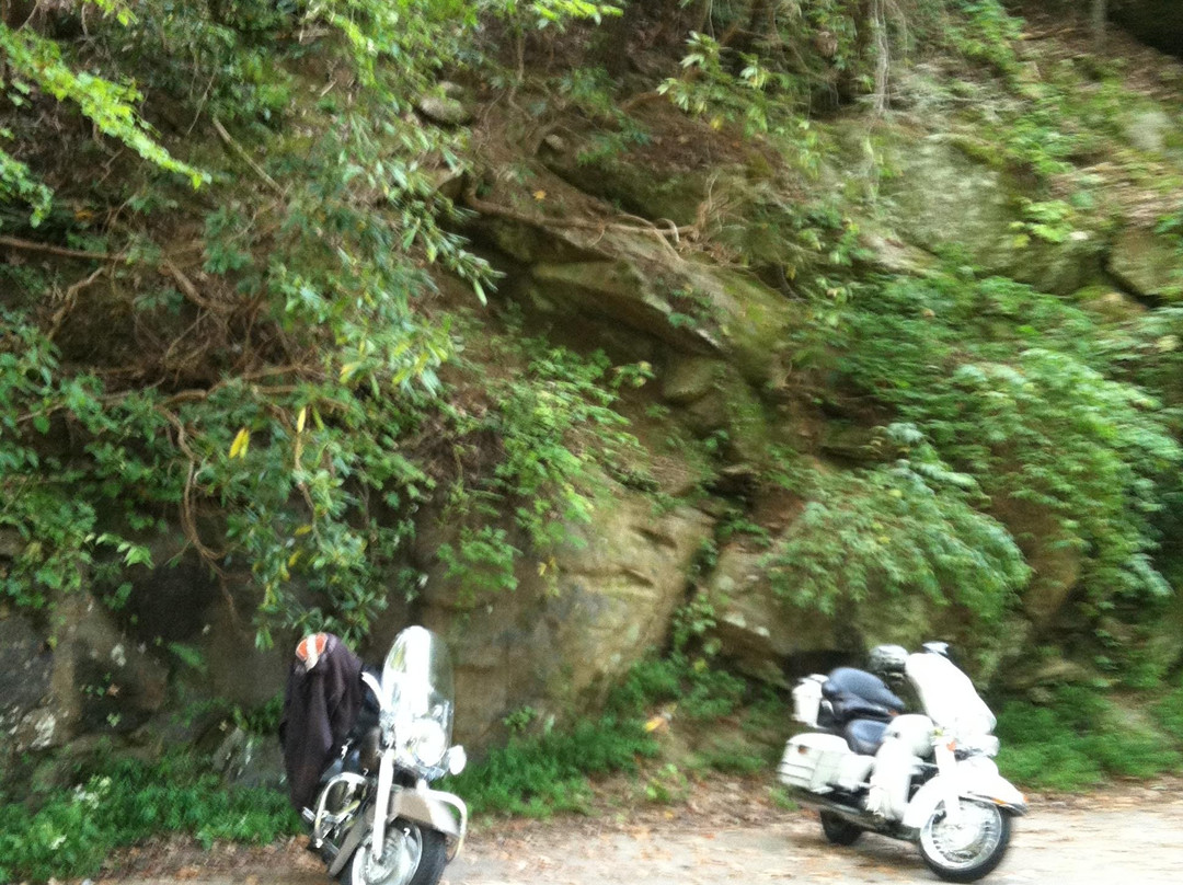 Cherohala Skyway景点图片