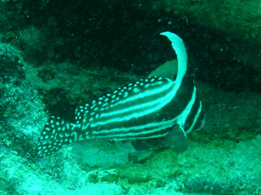 Benwood wreck-拉哥岛必去景点