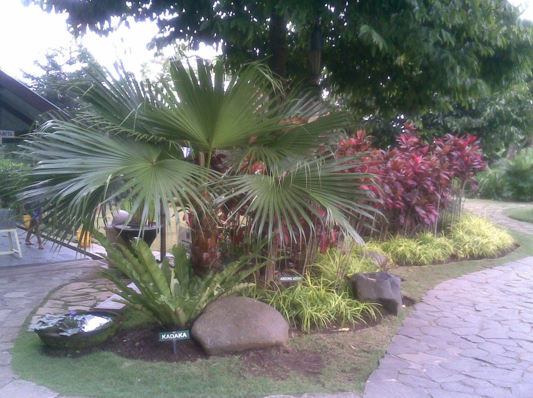 Gua Maria Kerep Ambarawa-Ambarawa必去景点