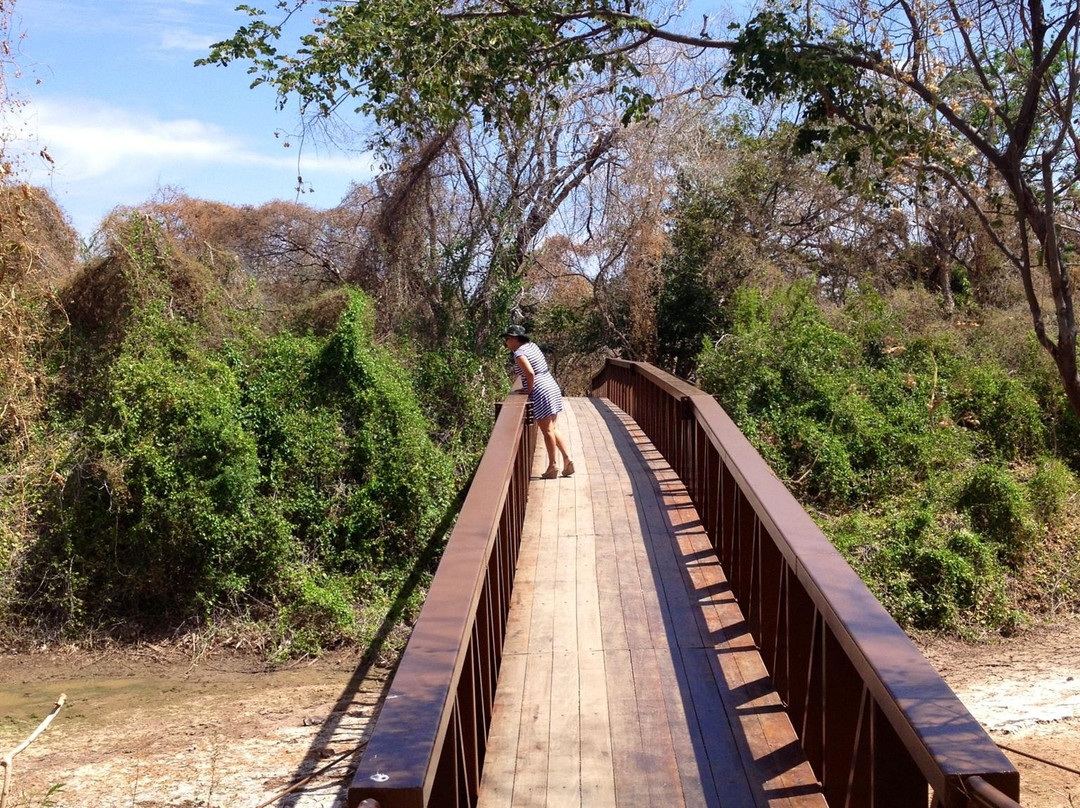 Valley of the Dinosaurs-Sousa必去景点