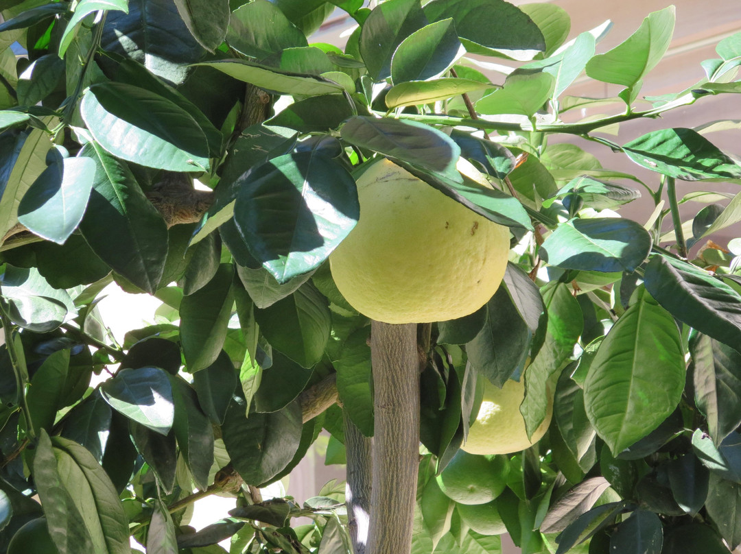 LongHouse Reserve-东汉普顿必去景点