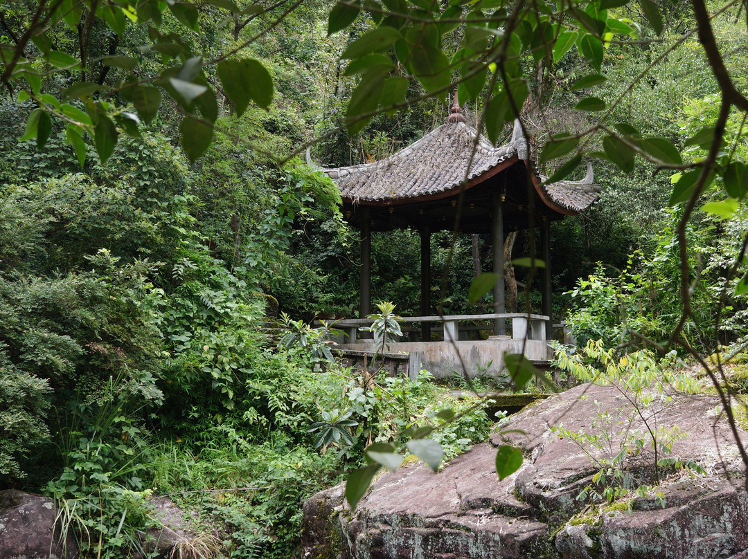丽水千丝岩-青田县必去景点