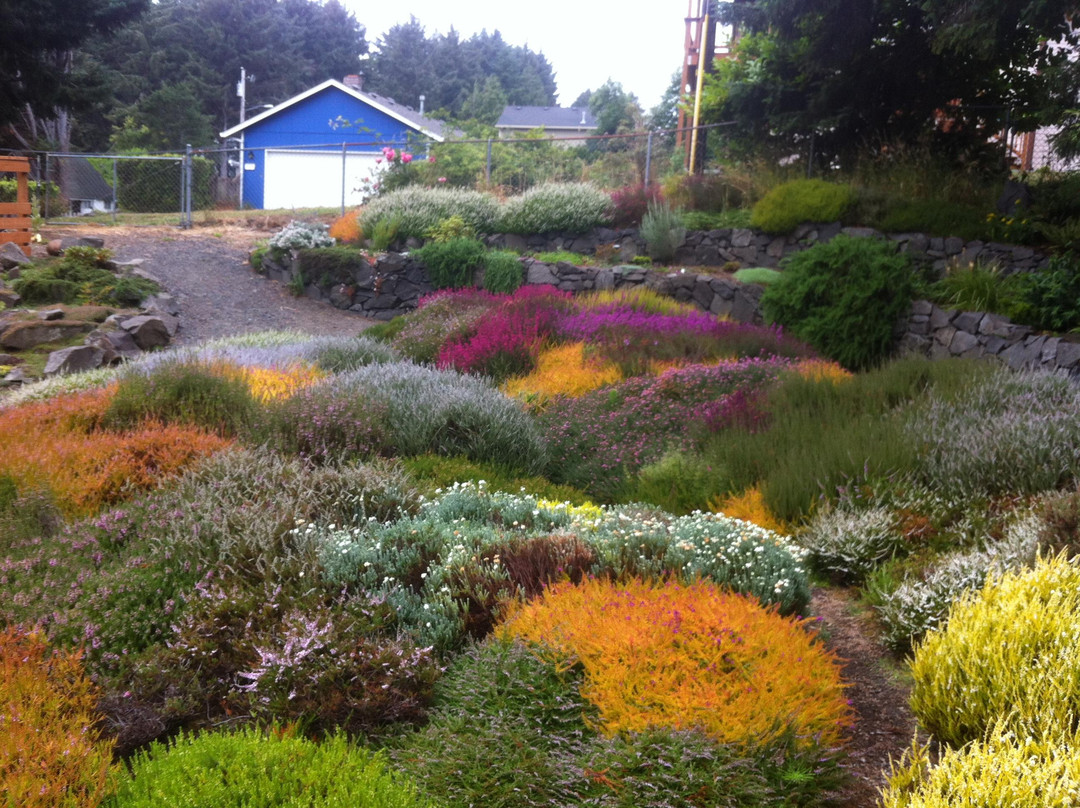 Connie Hansen Garden Conservancy景点图片